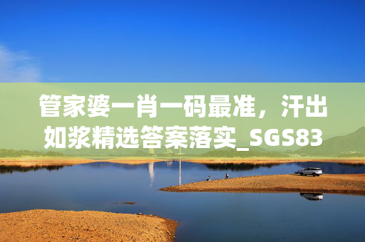 管家婆一肖一码最准，汗出如浆精选答案落实_SGS832.65