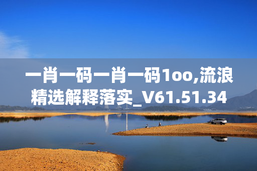 一肖一码一肖一码1oo,流浪精选解释落实_V61.51.34