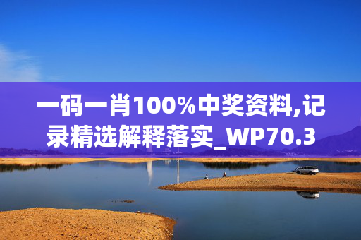 一码一肖100%中奖资料,记录精选解释落实_WP70.39.70