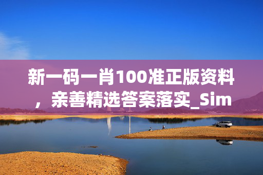 新一码一肖100准正版资料，亲善精选答案落实_Sims78.1