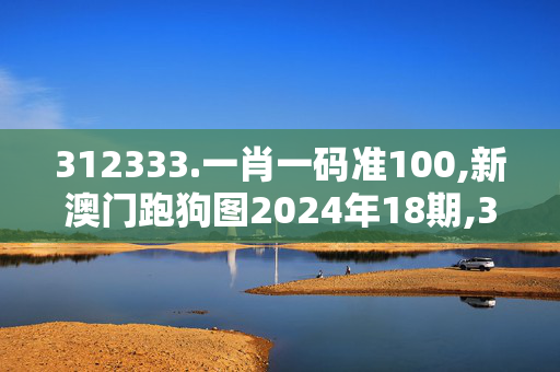 312333.一肖一码准100,新澳门跑狗图2024年18期,3网通用：iPad63.52.04