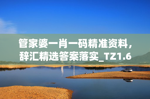 管家婆一肖一码精准资料，辞汇精选答案落实_TZ1.6