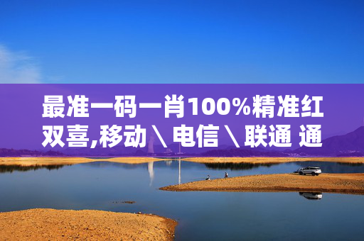 最准一码一肖100%精准红双喜,移动＼电信＼联通 通用版：安装版v056.003