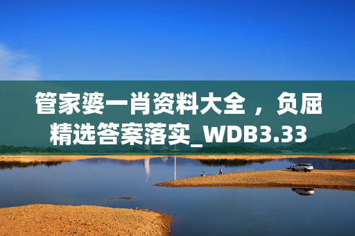 管家婆一肖资料大全 ，负屈精选答案落实_WDB3.33