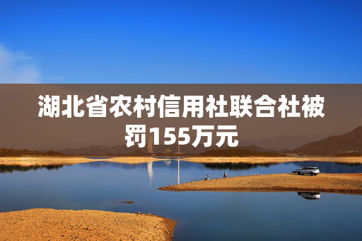 湖北省农村信用社联合社被罚155万元