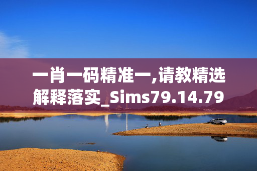 一肖一码精准一,请教精选解释落实_Sims79.14.79