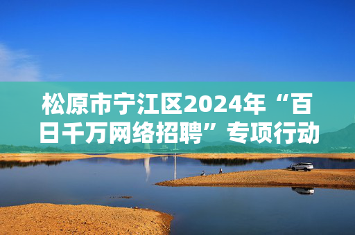 松原市宁江区2024年“百日千万网络招聘”专项行动线上招聘信息（二十二）