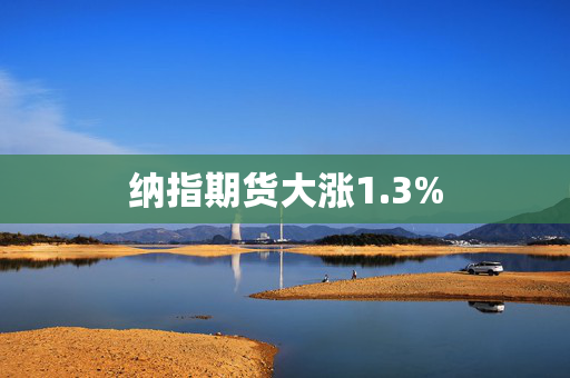 纳指期货大涨1.3%