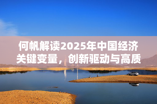 何帆解读2025年中国经济关键变量，创新驱动与高质量发展