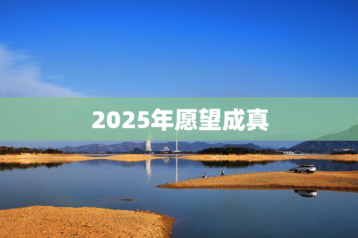 2025年愿望成真