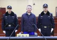 家中私存369发子弹！落马局长获刑12年